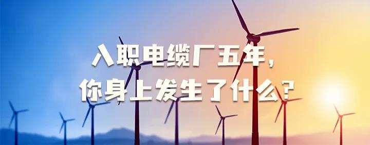 入職電纜廠五年，你身上發(fā)生了哪些變化~